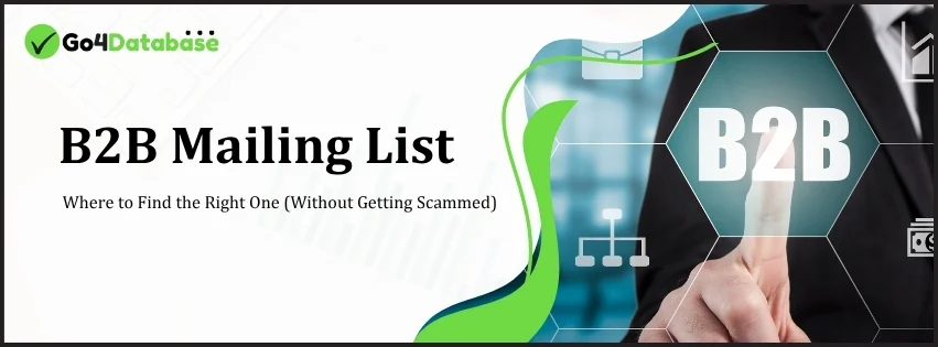 Verified B2B Mailing List for Campaigns