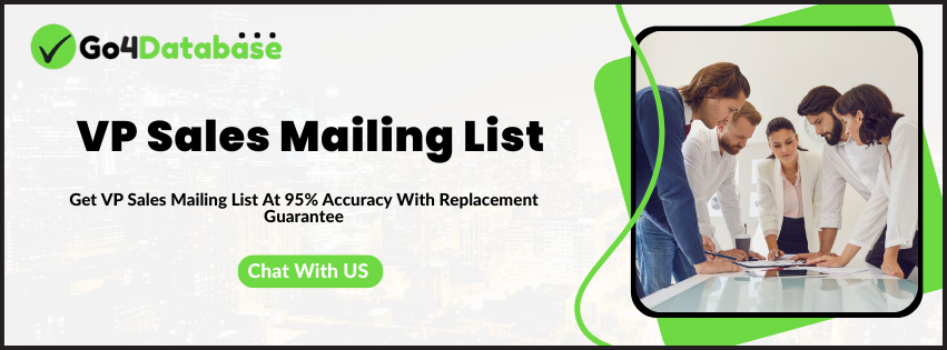 Go4Database's professional, organized contact database featuring verified VP of Sales names, titles, direct emails, phone numbers, and industry details for targeted B2B marketing outreach